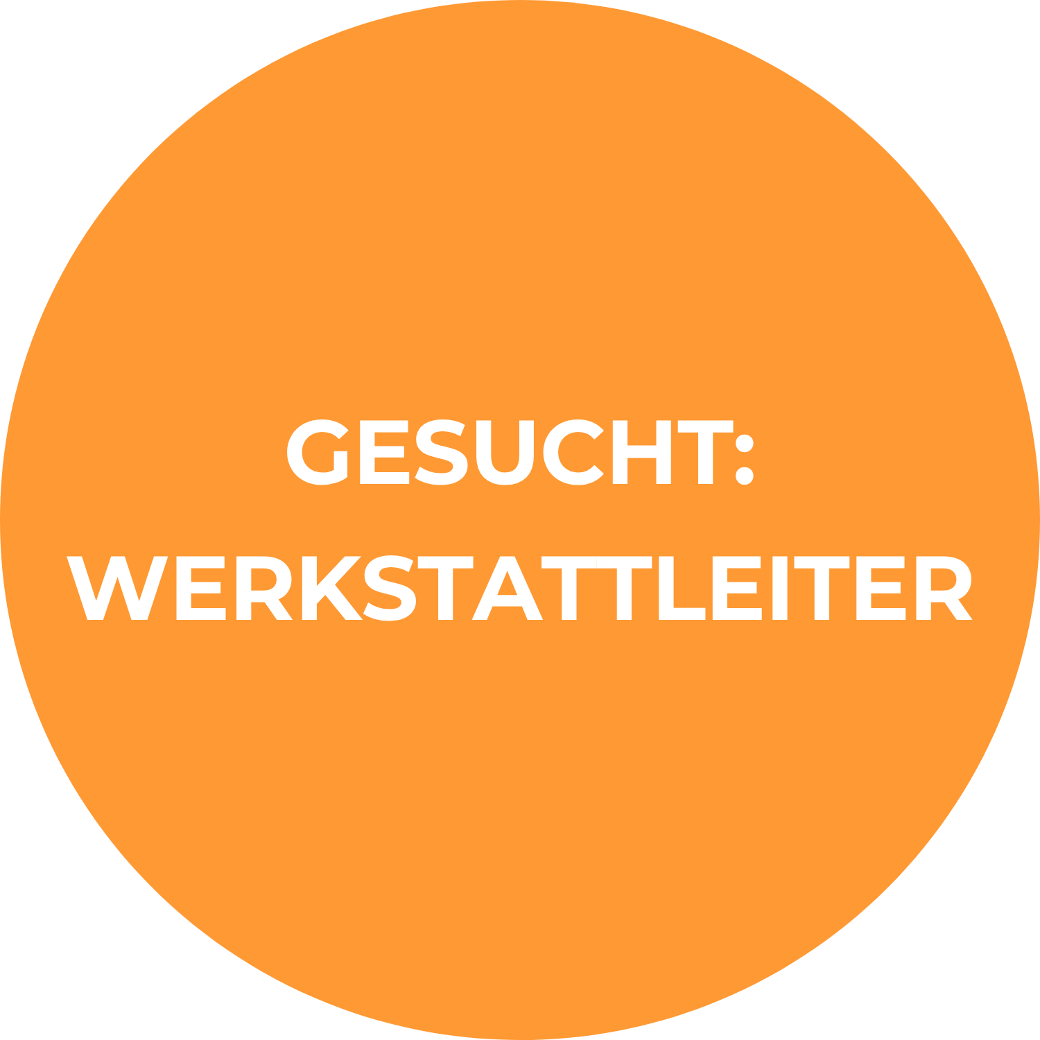 Werkstattleiter gesucht in Zweisimmen